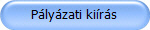 Pályázati kiírás