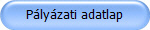 Pályázati adatlap